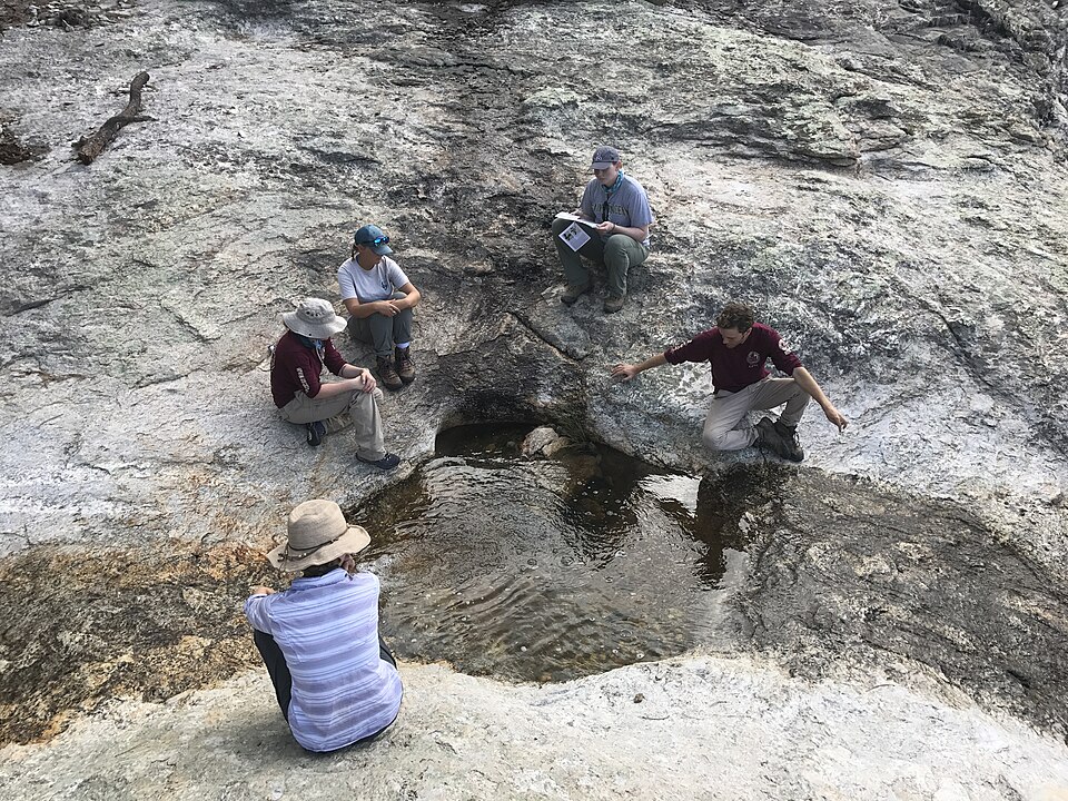 Geology and crew Management